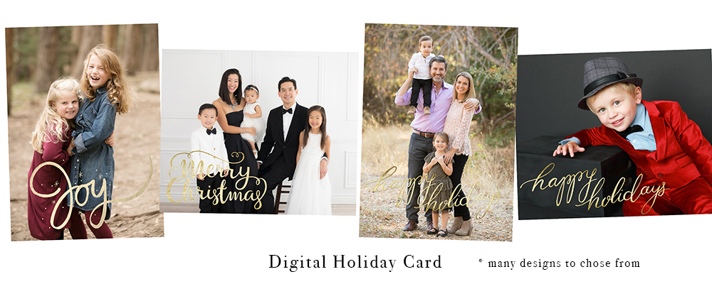 SPECIAL! Family Portrait + Holiday Card Studio Event — Studio B