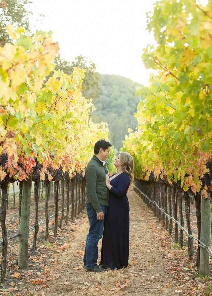 Napa, Sonoma Family Photographer